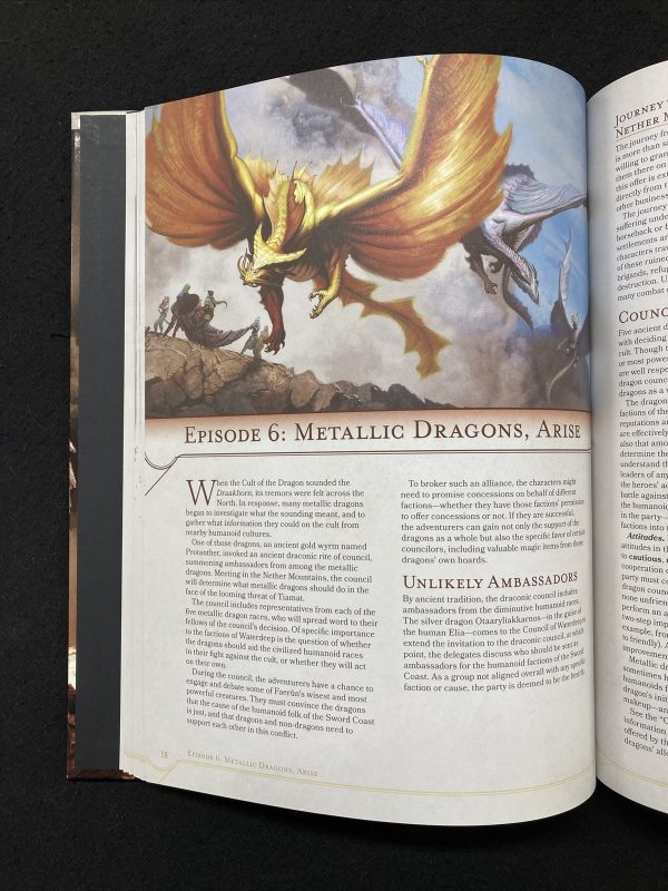 rot4 Dungeons and Dragons The rise of Tiamat HC Book Hardcover – 4 November 2014