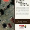 btlt2 D&D Beneath the Lonely Tower Worldwide game day Module (RARE) Unplayed